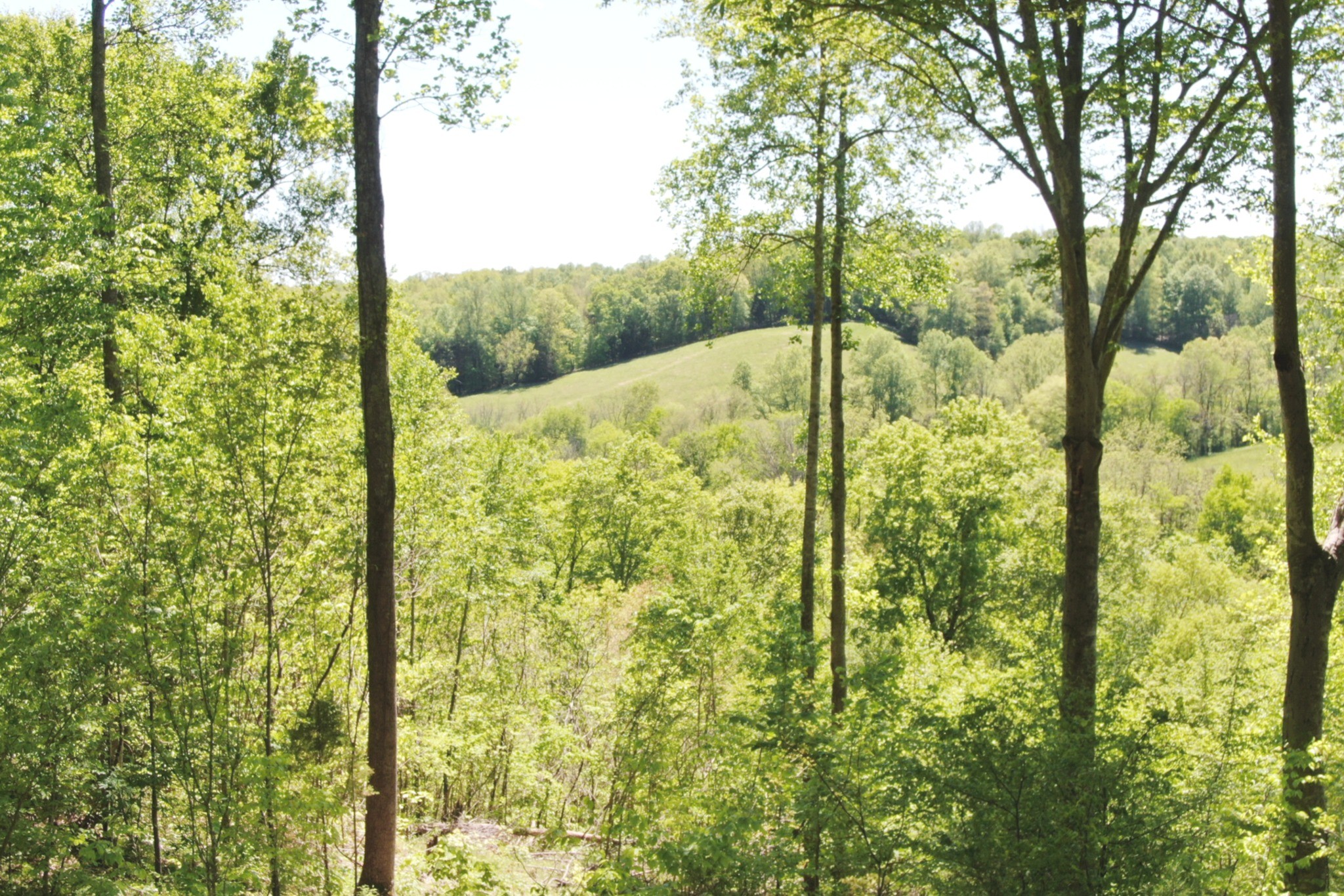 Panoramic views of the beautiful woodlands, rolling hills and the enchanting Plunders Creek valley.